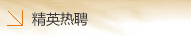 精英热聘